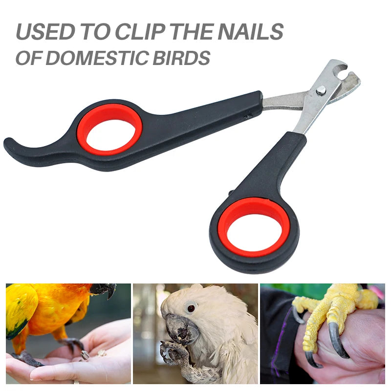 Pet Nail Clippers Cutter Parrot Nail Trimmer Scissors for Dogs Cats Birds Guinea Pig Animal Claws Paw Cutter Bird Parrot Shear