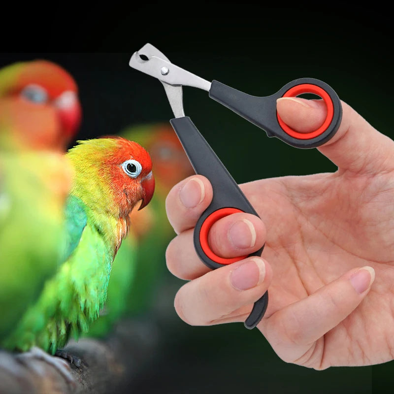 Pet Nail Clippers Cutter Parrot Nail Trimmer Scissors for Dogs Cats Birds Guinea Pig Animal Claws Paw Cutter Bird Parrot Shear