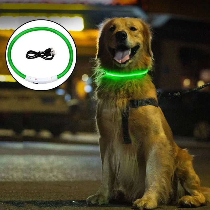 Solid Rechargeable Led Light Dog Collar Optical Fiber 3 Modes Luminous Night Safety Flashing Glow Loss Prevention Pet Accessorie