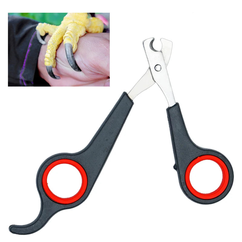 Pet Nail Clippers Cutter Parrot Nail Trimmer Scissors for Dogs Cats Birds Guinea Pig Animal Claws Paw Cutter Bird Parrot Shear