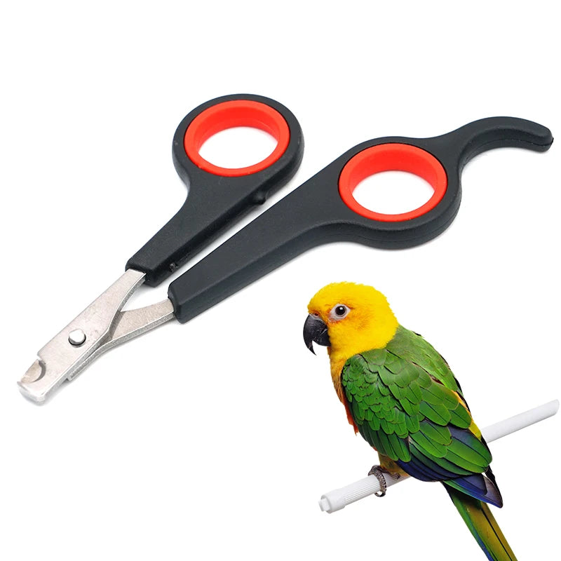 Pet Nail Clippers Cutter Parrot Nail Trimmer Scissors for Dogs Cats Birds Guinea Pig Animal Claws Paw Cutter Bird Parrot Shear